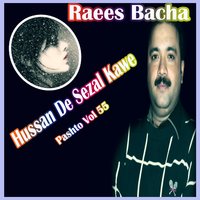 Sta De Toro Stargo Za Pagal Kama - Raees Bacha