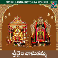 Srishaila Vasudamma - Vadlakonda Anil Kumar