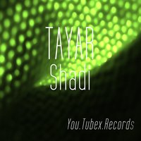 Filula - Tayar