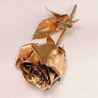 Rose Gold - Tavo The Rock & LOLO