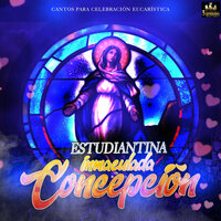El Encuentro - Cantos Catolicos & Estudiantina Inmaculada Concepcion