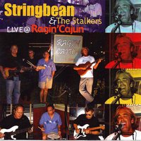 Band Introduction - Stringbean & The Stalkers