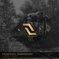 Treetops - Francesco Tamburrano