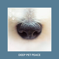 Worldly Understanding Soundtrack - Relaxing Dog Music