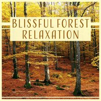 Buddha Teachings - Calm Singing Birds Zone