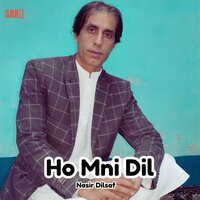 Ho Zalemen Duniyae - Nasir Dilsaf
