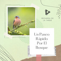 Canción de cuna de pájaro - Recarga de la Tarde & Sonidos de la Naturaleza para Dormir & Sonido Del Bosque y Naturaleza