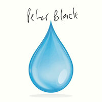 Wish There's A Song That Can Put Me Back Together - Peter Black
