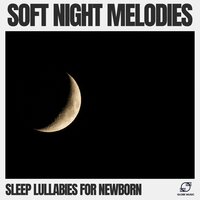 Moonlit Night - Sleep Lullabies for Newborn