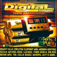 No Time Fa Dem - Elephant man