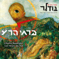 ספלין - Maor Cohen