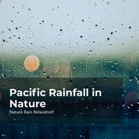 Songbirds in Skyfall - Rain Recorders & Rainfall & Nature Rain Relaxation