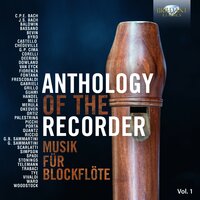 Fantasia & Echo, NVE 16 - Erik Bosgraaf