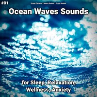 Ocean Waves Sounds Pt. 40 - Ocean Currents & Nature Sounds & Ocean Sounds