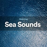 Beautiful Sea Sounds - Ocean Therapy