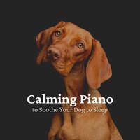 Doggies Find Music Very Relaxing - Dog Calming Music