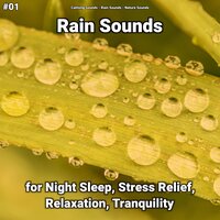 Asmr Rain Sounds for Your Ears - Calming Sounds & Rain Sounds & Nature Sounds