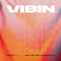 VIBIN - Deniz Bul