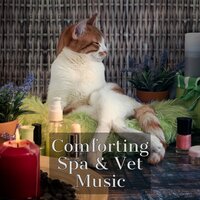 Blissful Melodies - Jazz Music for Cats