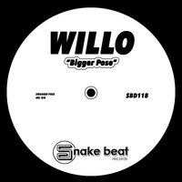 Mr. Big - Willo