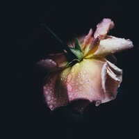 Flowing Rains - Naturaleza Relajacion & Deep Sleep Brown Noise & Sampling XL