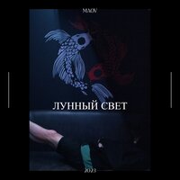 Сценарист - Maov
