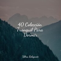 Lluvia Pacífica - Meditação Maestro & Massagem & Masajes Spa