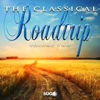 Concerto for Cello, Orchestra and Basso continuo in A Minor, R. 421: I. Allegro non troppo - Антонио Вивальди & The New Classical Consortium & Hanz Friedman