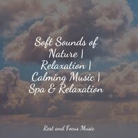 Play with the Music - Meditation Music Club & Amazing Spa Music