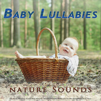 Naptime Music with Forest Sounds - Baby Lullaby & Pacific Coast Baby Music Academy & Baby Music