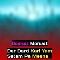 Der Dard Kari Yam Setam Pa Meena - Damsaz Marwat