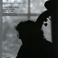 Sagn, Pt. III: Nystev - Arild Andersen