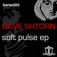 Soft Course - Dave Shtorn