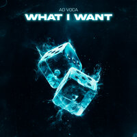 What I Want - Ad Voca