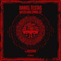 Mycelium Spark - Daniel Testas