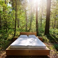 Pasos De Tono Somnoliento - Ondas serenas & Biblioteca de Música para Dormir & Sueño Sonidos Lluvia