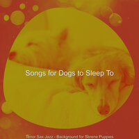 Distinguished Music for Separation Anxiety - Songs for Dogs to Sleep To
