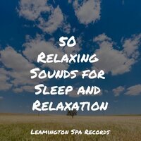 To the Moon - Fresh Water Sounds for Inner Peace & Entspannungsmusik Meer & Rain Forest FX