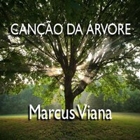Canção da Arvore - Marcus Viana