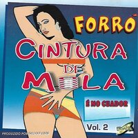 Se Mulher Fosse Cela - Forró Cintura de Mola