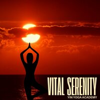 Meditation Music - Yin Yoga Academy