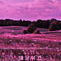 LONGING FOR SUMMER - mxde.kxilxv