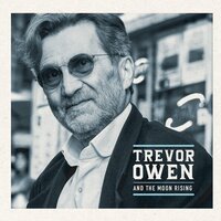 Not the Only One - Trevor Owen