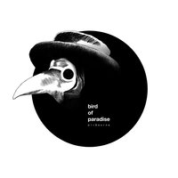 Life in Data - Bird Of Paradise