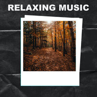 Soothing Place - Study Radiance