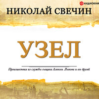 Свечин Николай. «Узел». Часть 20 - Евгений Покрамович