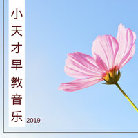 大脑 - 天才小钢琴