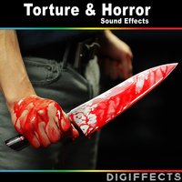Woman Scream Version 3 - Digiffects Sound Effects Library
