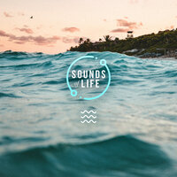 Beach Waves and Heavy Winds, Pt. 2 - Sounds Of Life