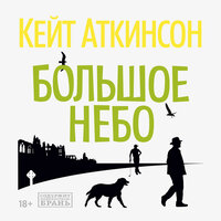 Кейт Аткинсон. «Большое небо». Часть 28 - Владимир Голицын